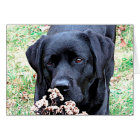 Take Time - Black Lab - Black Labrador