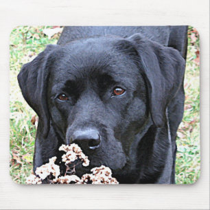 Take Time - Black Lab - Black Labrador Mouse Mat