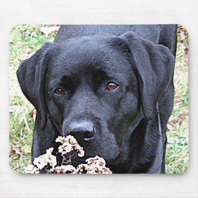 Take Time - Black Lab - Black Labrador Mouse Mat (Front)