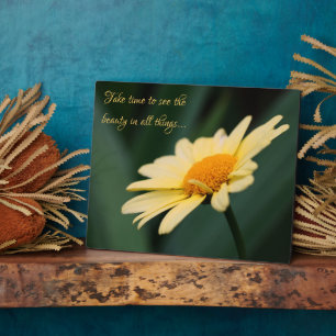 Take Time To Appreciate Daisy Inspirational Quote Plaque