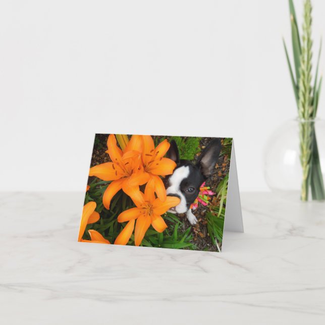 Take time to smell the flowers - BLANK NOTE CARD (Front)