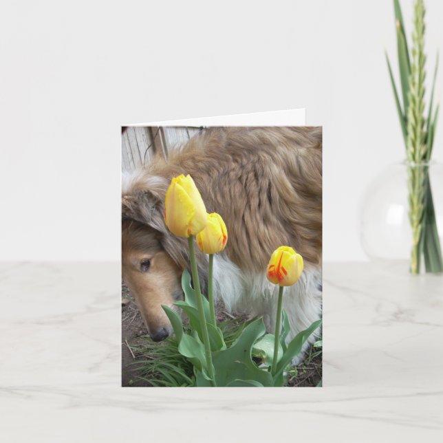 Take time to smell the flowers, Collie note cards (Front)