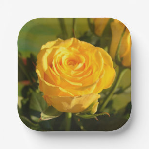 Take time to smell the yellow rose    paper plate