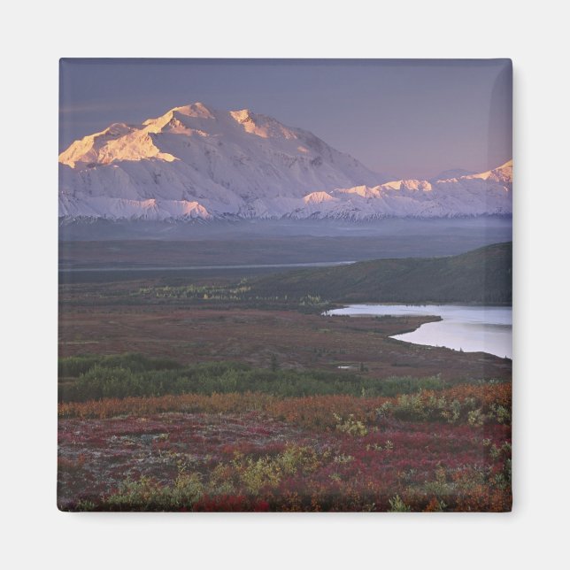 Taken in early September in Denali National Park Magnet (Front)