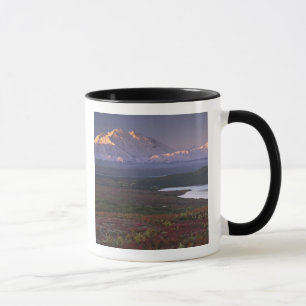 Taken in early September in Denali National Park Mug