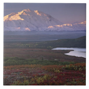 Taken in early September in Denali National Park Tile