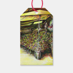 Taken the Possession of Optices Gift Tags