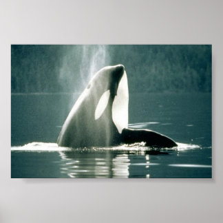 Taking A Breath Poster