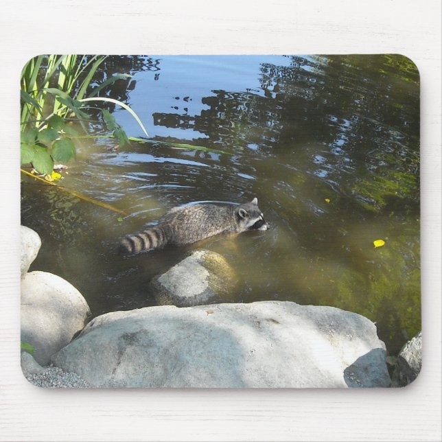 Taking a Dip Racoon Mouse Mat (Front)