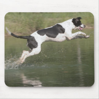 Taking a dive mouse mat