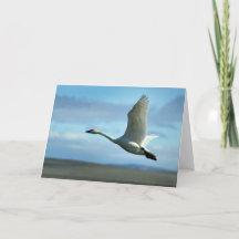 Taking flight blank greeting card