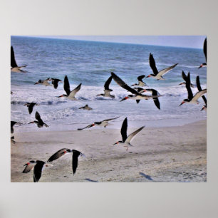Taking Flight Poster