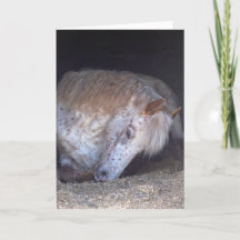 Taking it easy birthday card