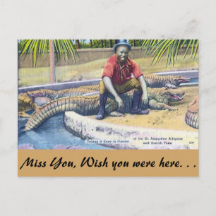 Taking it Easy in Florida Postcard