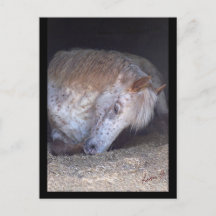 Taking it easy postcard