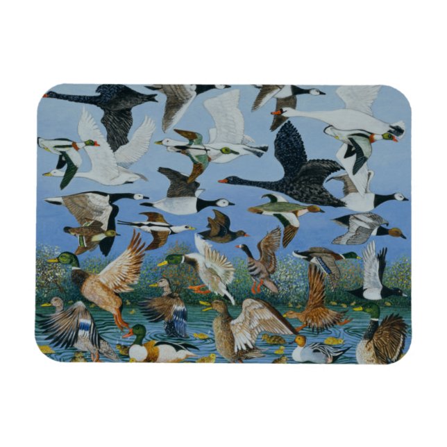 Taking Off 1996 Magnet (Horizontal)