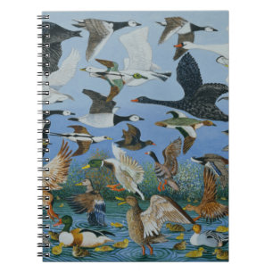 Taking Off 1996 Notebook