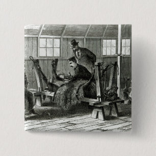 Taking virus from the calf 15 cm square badge