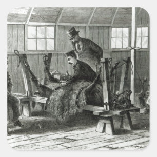 Taking virus from the calf square sticker