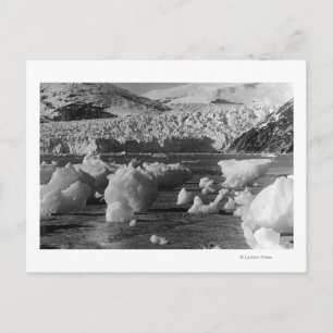 Taku Glacier near Juneau, Alaska Photograph Postcard