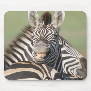 Tala Private Reserve, Kwazulu Natal, South Mouse Mat