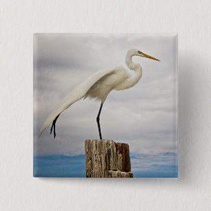 Talented Egret   Fort Myers Beach, Florida 15 Cm Square Badge