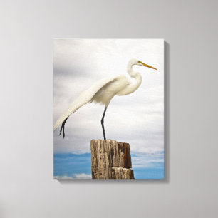 Talented Egret Fort Myers Beach, Florida Canvas Print