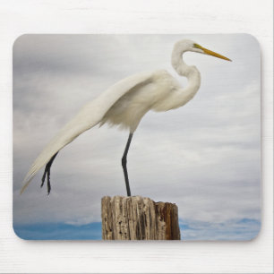 Talented Egret Fort Myers Beach, Florida Mouse Mat