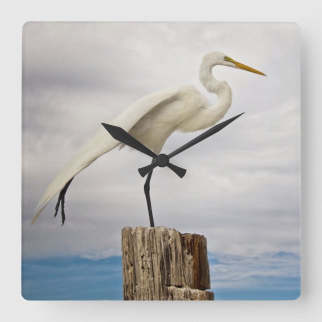 Talented Egret | Fort Myers Beach, Florida Square Wall Clock (Front)