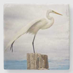 Talented Egret Fort Myers Beach, Florida Stone Coaster
