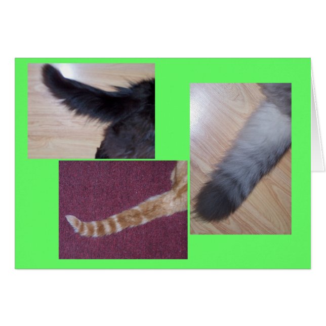 Tales (Front Horizontal)