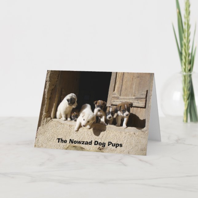 Tali pups at the door, The Nowzad Dog Pups Card (Front)