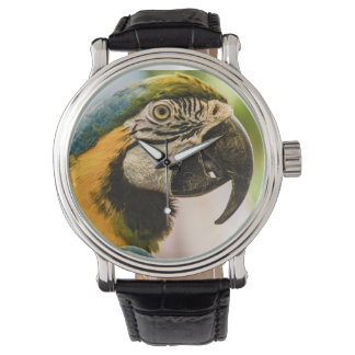 Talk Like a Pirate Watch