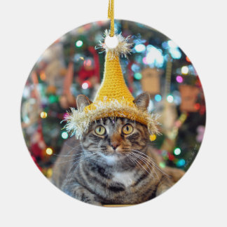 Talk To The Paw 2015 Christmas Ornament (Design 2)