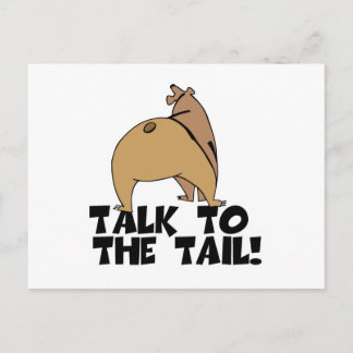 Talk to the Tail Bear Postcard