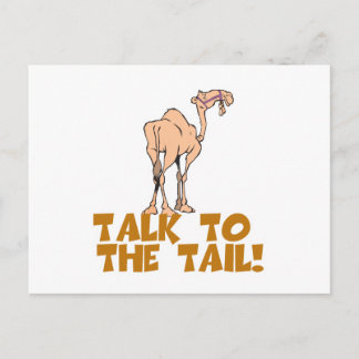 Talk to the Tail Camel Postcard