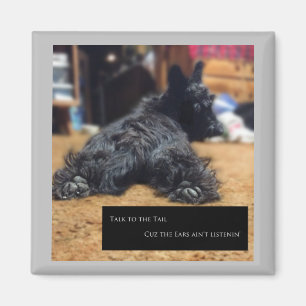 Talk to the Tail Magnet