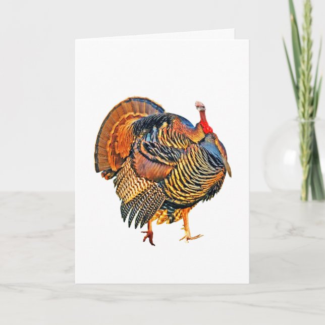 Talk Turkey Holiday Card (Front)