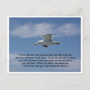 Talk With the Animals Postcard