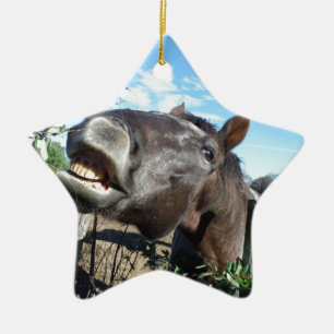 Talking Brown Horse Ceramic Tree Decoration