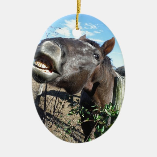Talking Brown Horse Ceramic Tree Decoration (Front)