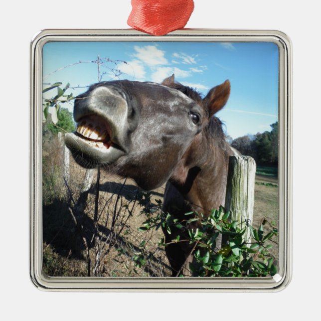 Talking Brown Horse Metal Tree Decoration (Front)