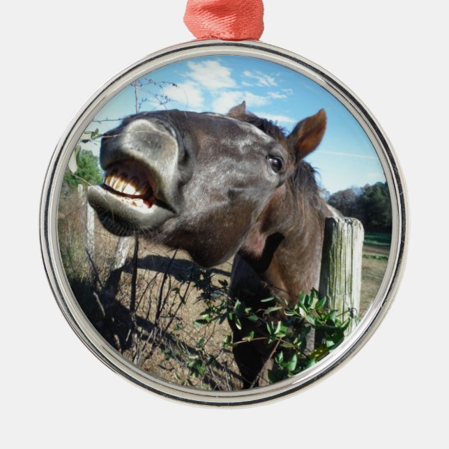 Talking Brown Horse Metal Tree Decoration (Front)