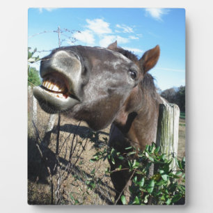 Talking Brown Horse Plaque