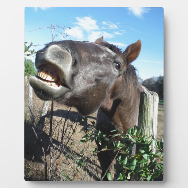 Talking Brown Horse Plaque (Front)