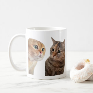 Talking Cats Meme Mug Double Sided