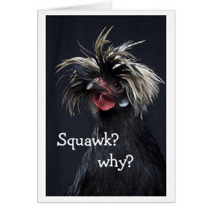 TALKING CHICKEN SQUAWK WHY "40th HUMOR"
