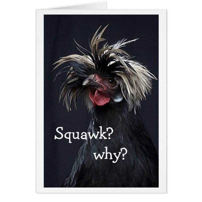 TALKING CHICKEN SQUAWK WHY "40th HUMOR" (Front)