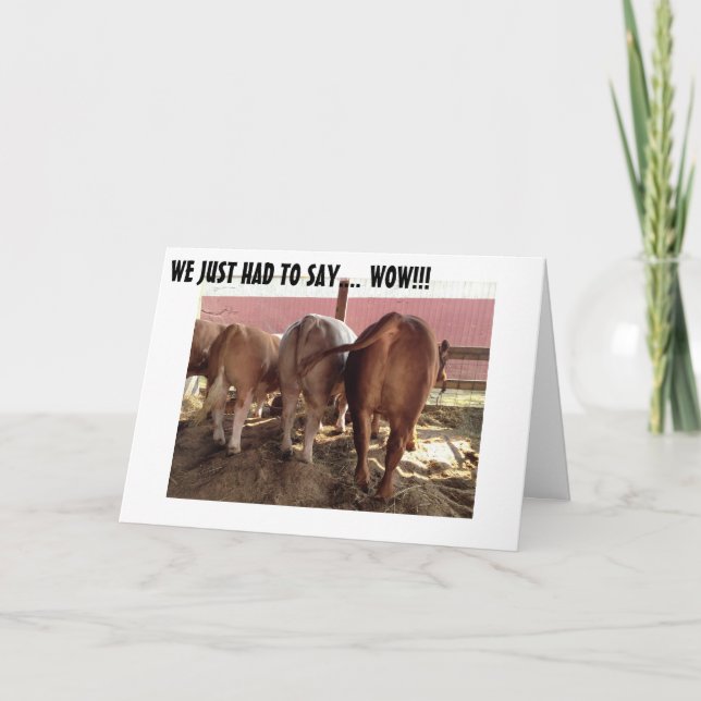 TALKING COWS MAKE GREAT GROUP BIRTHDAY CARD (Front)