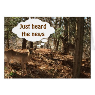 TALKING DEER COUPLE SAYS "YOU ARE  ***21***